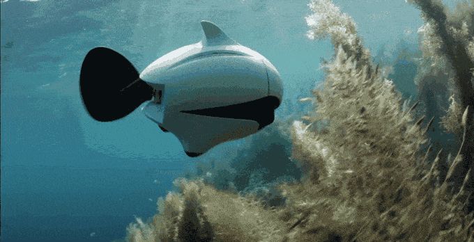 Biki, primer drone biónico subacuático