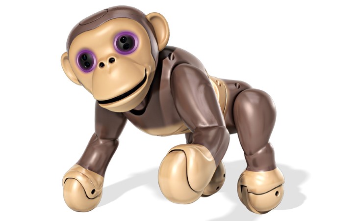 Zoomer Chimp