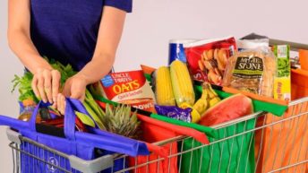 Trolley Bags, sistema de bolsas plegables para el carrito de la compra