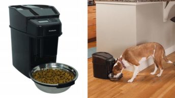 Healthy Pet Simply Feed, alimentador automatico para mascotas