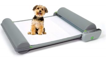 BrilliantPad, el innodoro intelifente para perros