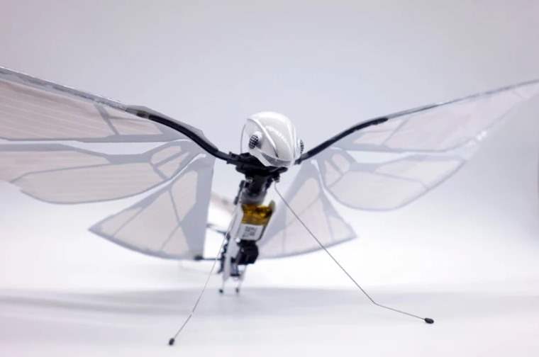 MetaFly